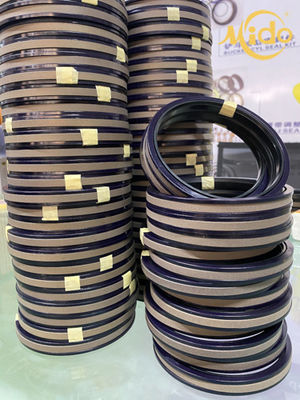 Con dấu pít tông thủy lực SPGW 160, Bộ con dấu  chống mài mòn Hiệu suất con dấu cao